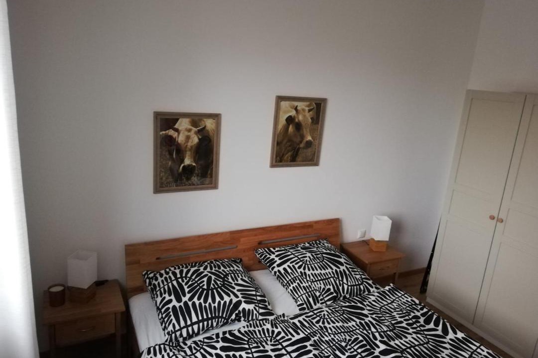 Photo of Others in Segnitz