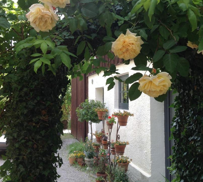 Photo of Others in Schondorf am Ammersee