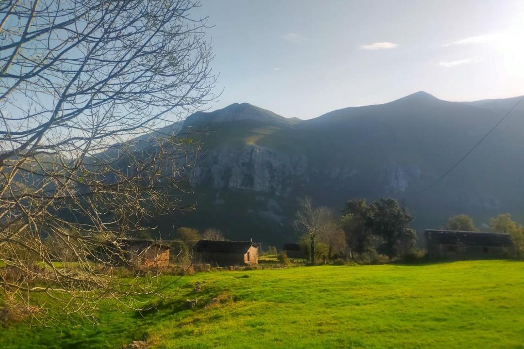 Photo of Others in San Roque de Riomiera