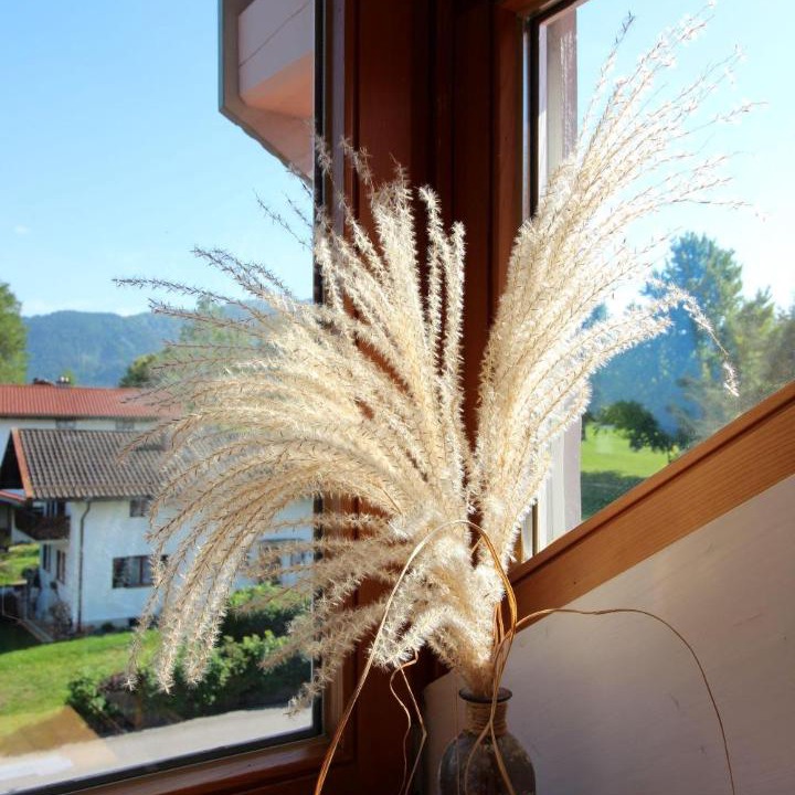 Photo of Others in Bernau am Chiemsee