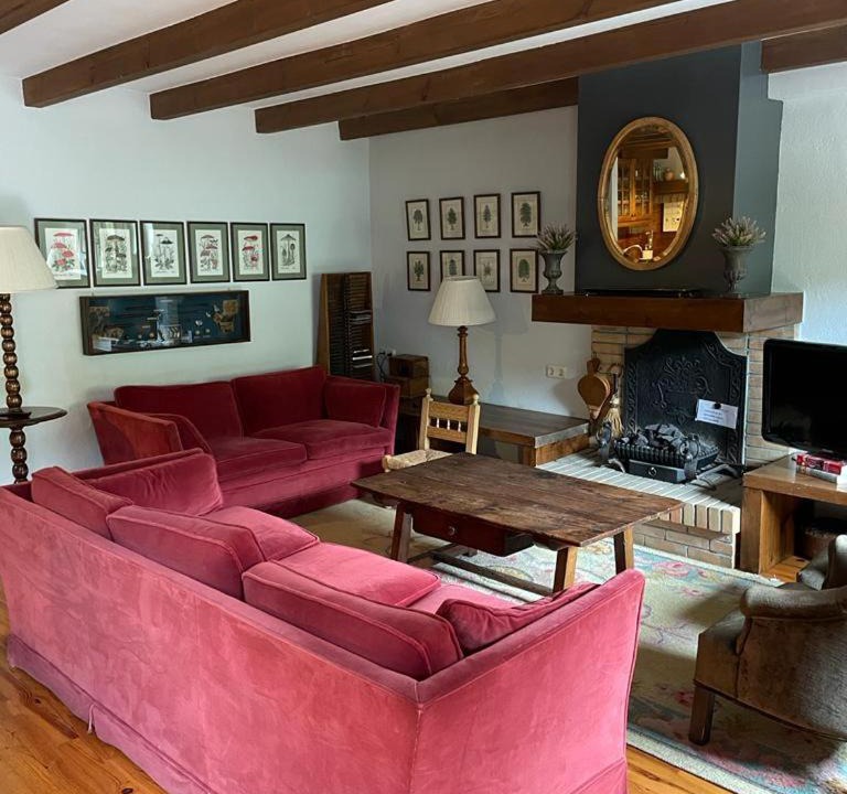 Photo of Livingroom in Benasque
