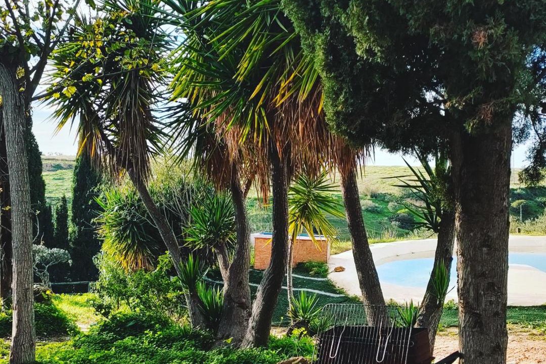 Photo of Others in Sanlucar la Mayor
