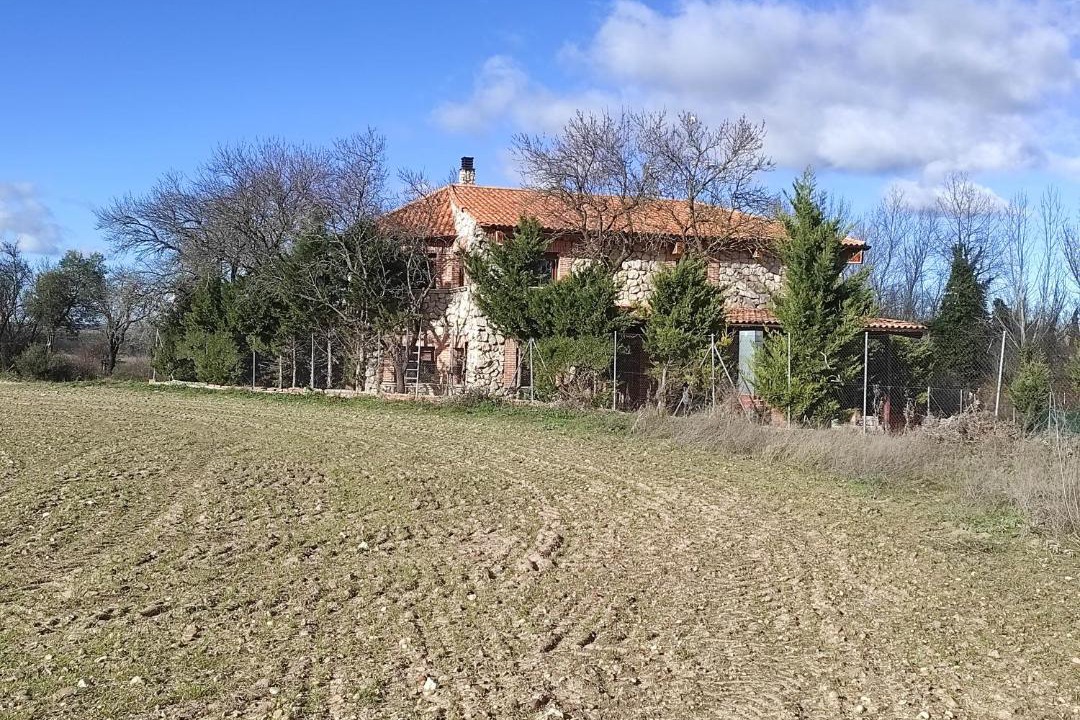Photo of Others in Villanueva de Duero