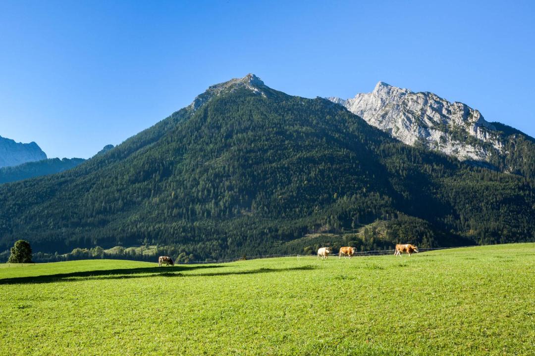 Photo of Others in Ramsau bei Berchtesgaden