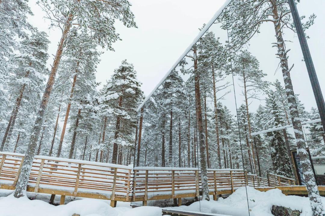 Photo of Others in Rovaniemi