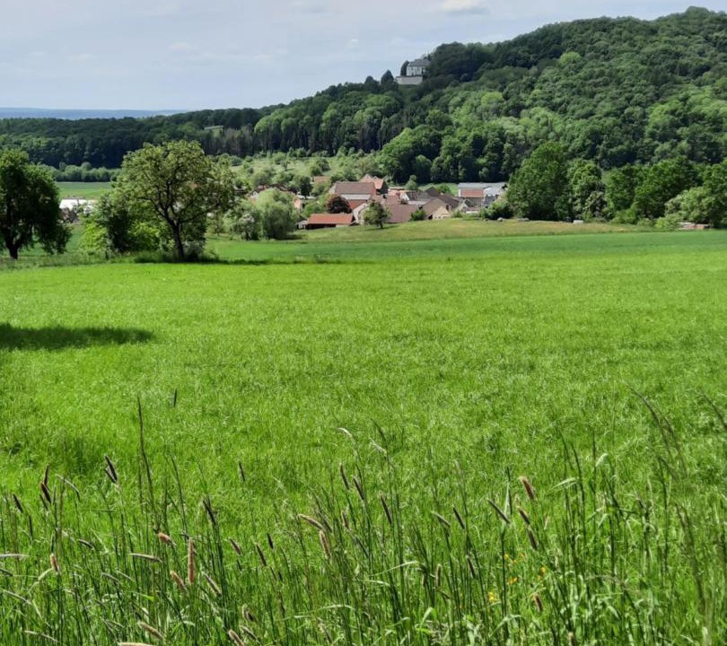 Photo of Others in Buttenheim