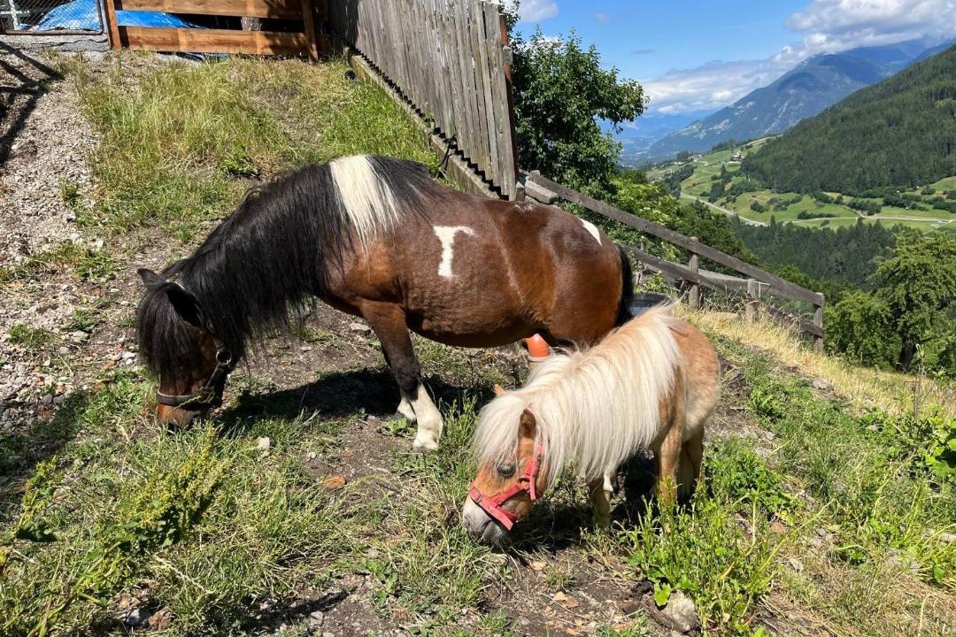 Photo of Others in Arzl im Piztal