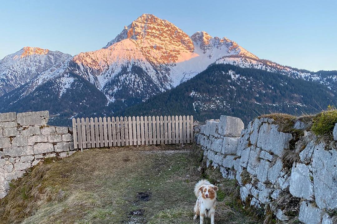 Photo of Others in Reutte