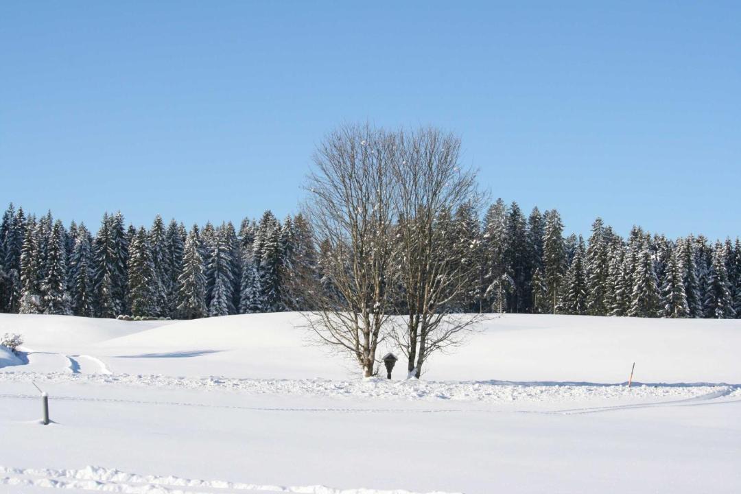 Photo of Others in Gorisried