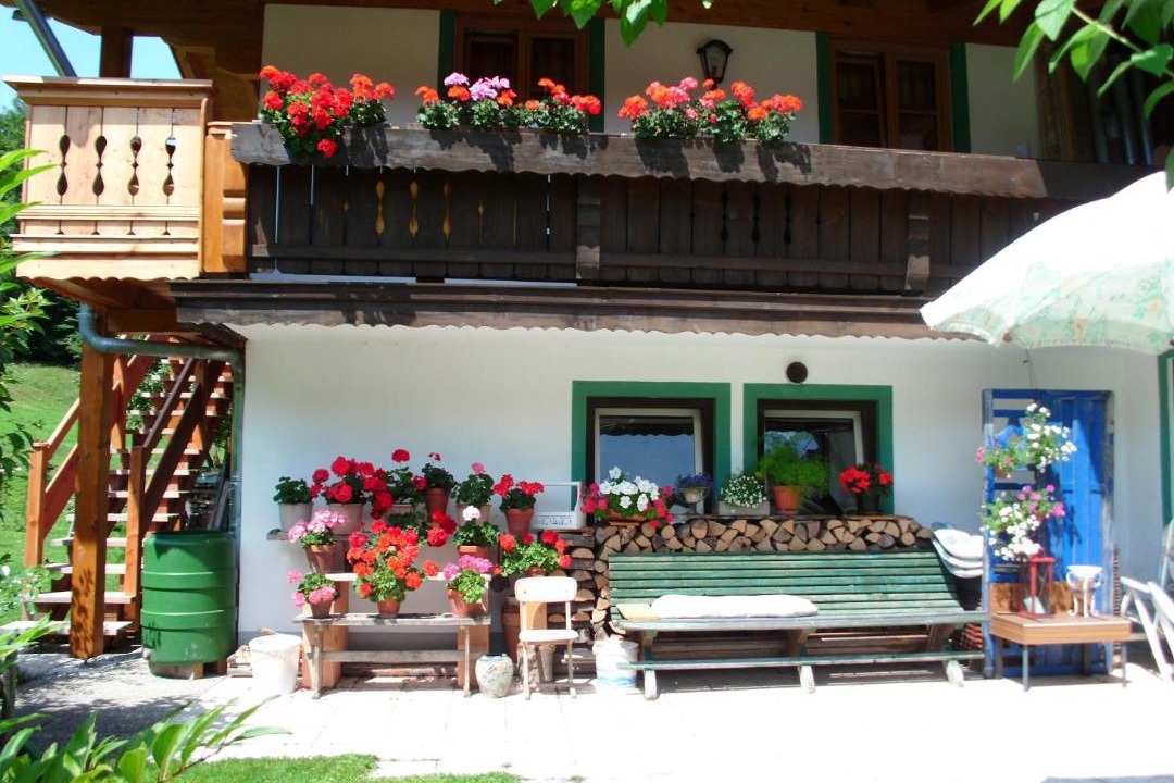 Photo of Others in Inzell