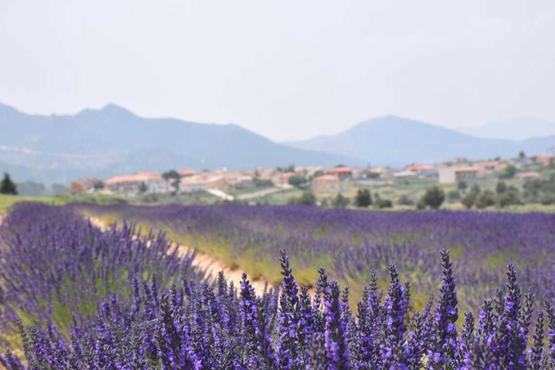 Photo of Outdoor in Calar de la Santa