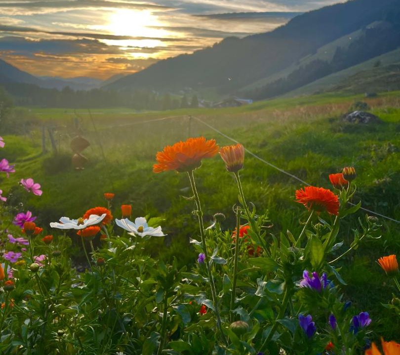 Photo of Others in Balderschwang