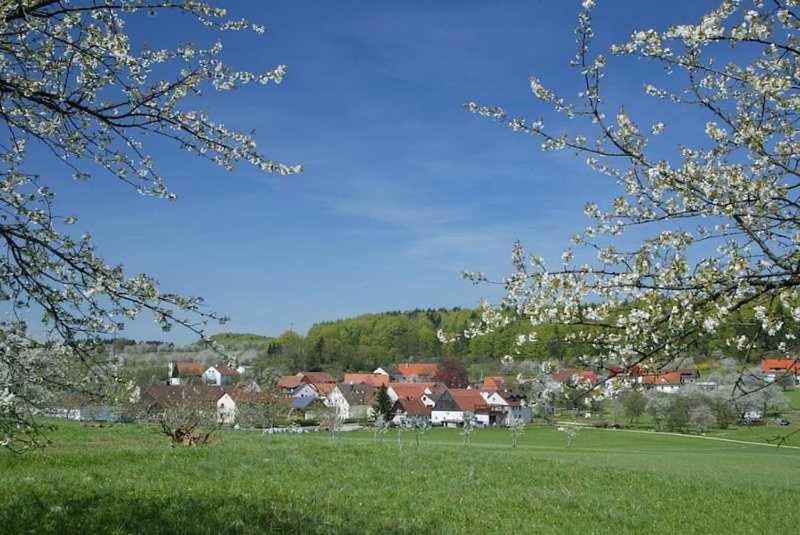 Photo of Others in Egloffstein