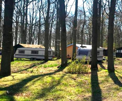 Photo of Others in Bakenberg