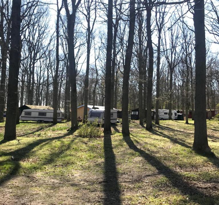 Photo of Others in Bakenberg