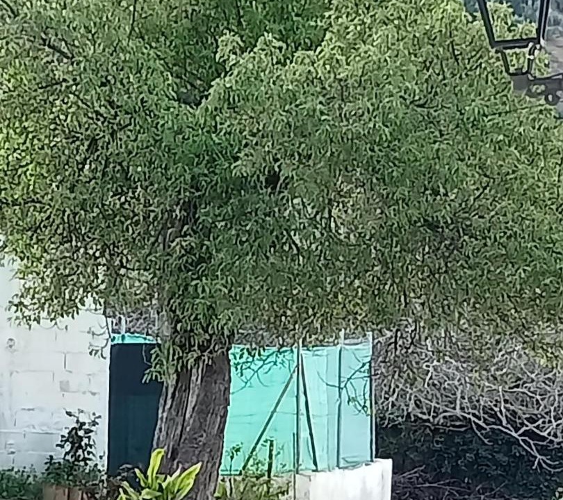 Photo of Others in Prados de Armijo