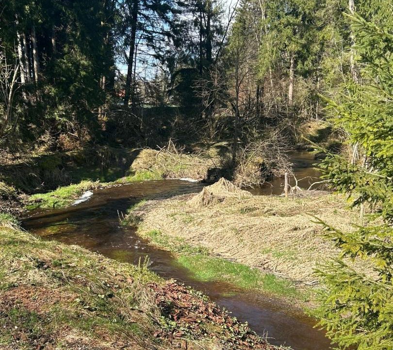 Photo of Others in Steingaden