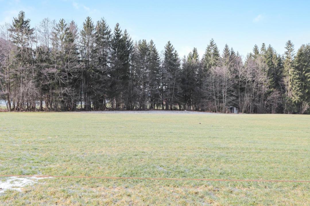 Photo of Others in Deffingen