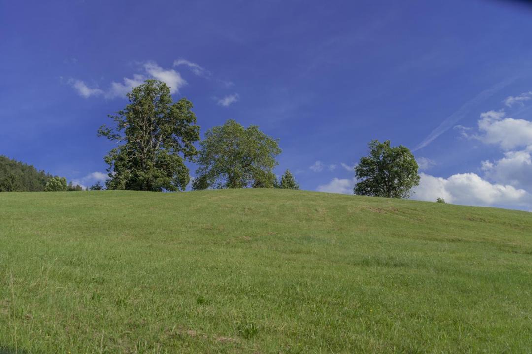 Photo of Others in Deffingen