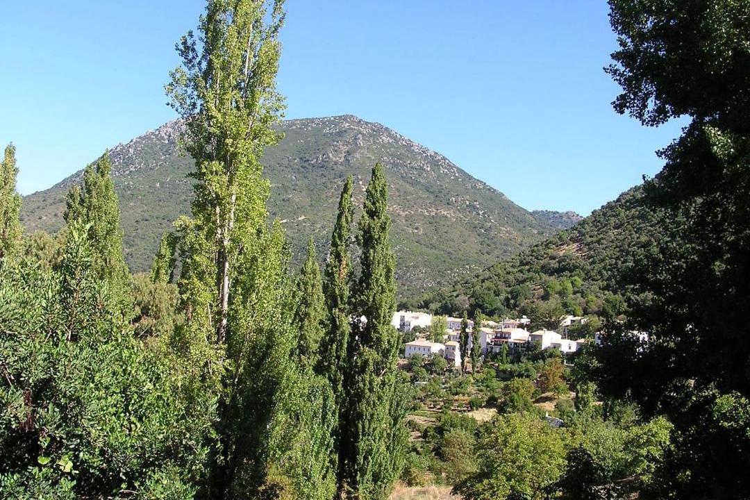 Photo of Others in Benamahoma