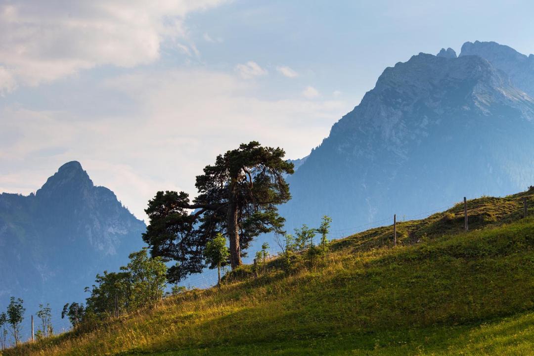 Photo of Others in Ramsau bei Berchtesgaden