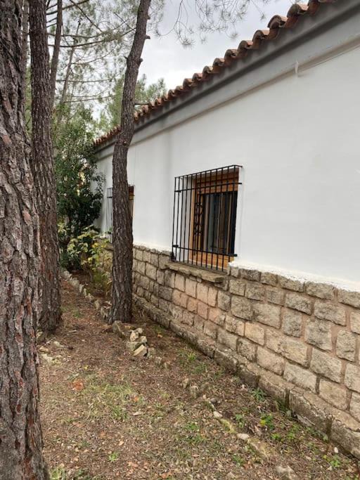Photo of Others in Mora de Rubielos
