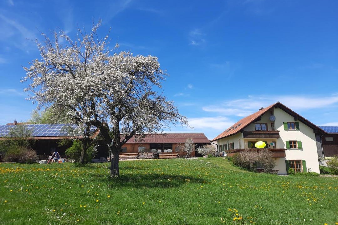 Photo of Others in Dietmannsried