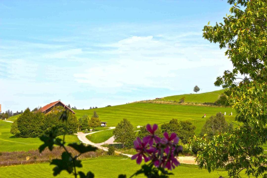 Photo of Others in Scheidegg