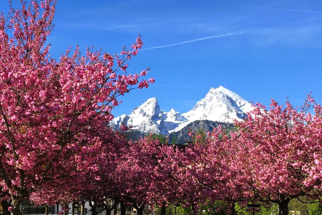 Photo of Others in Ramsau bei Berchtesgaden