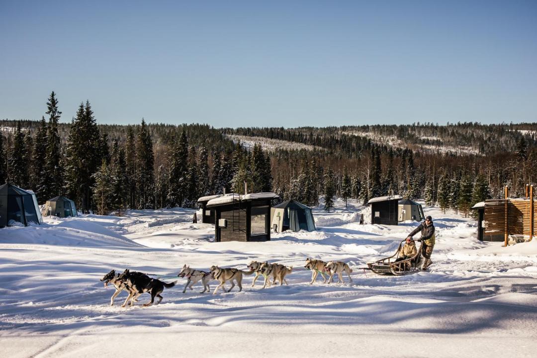 Photo of Others in Rovaniemi