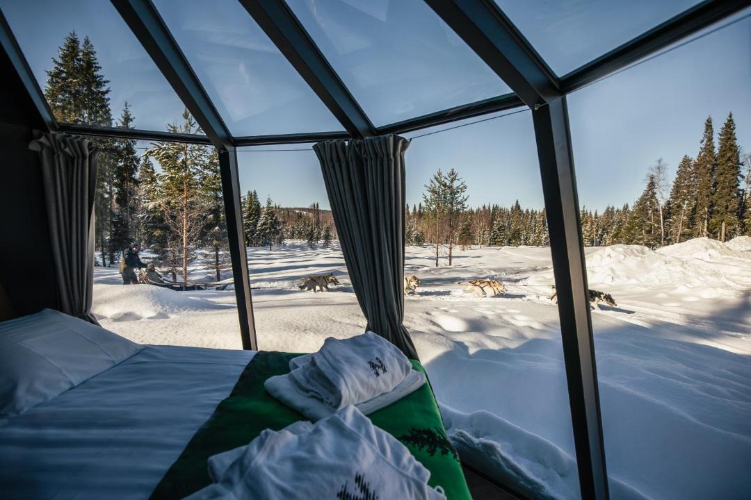 Photo of Others in Rovaniemi