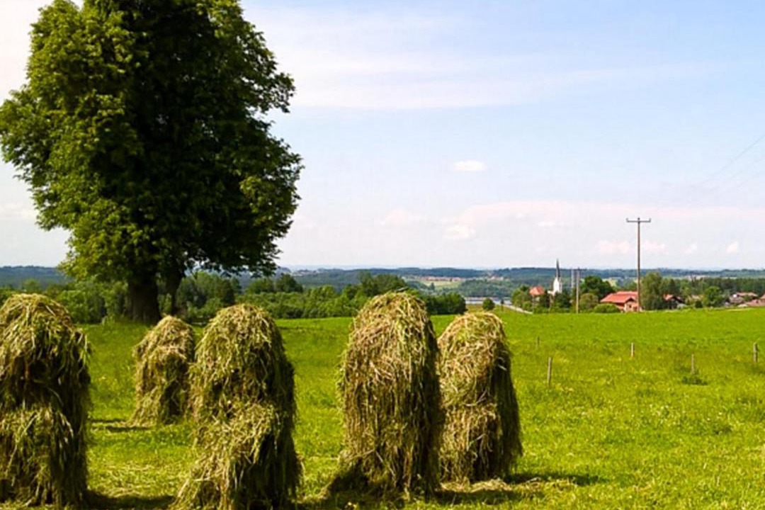 Photo of Others in Riedering