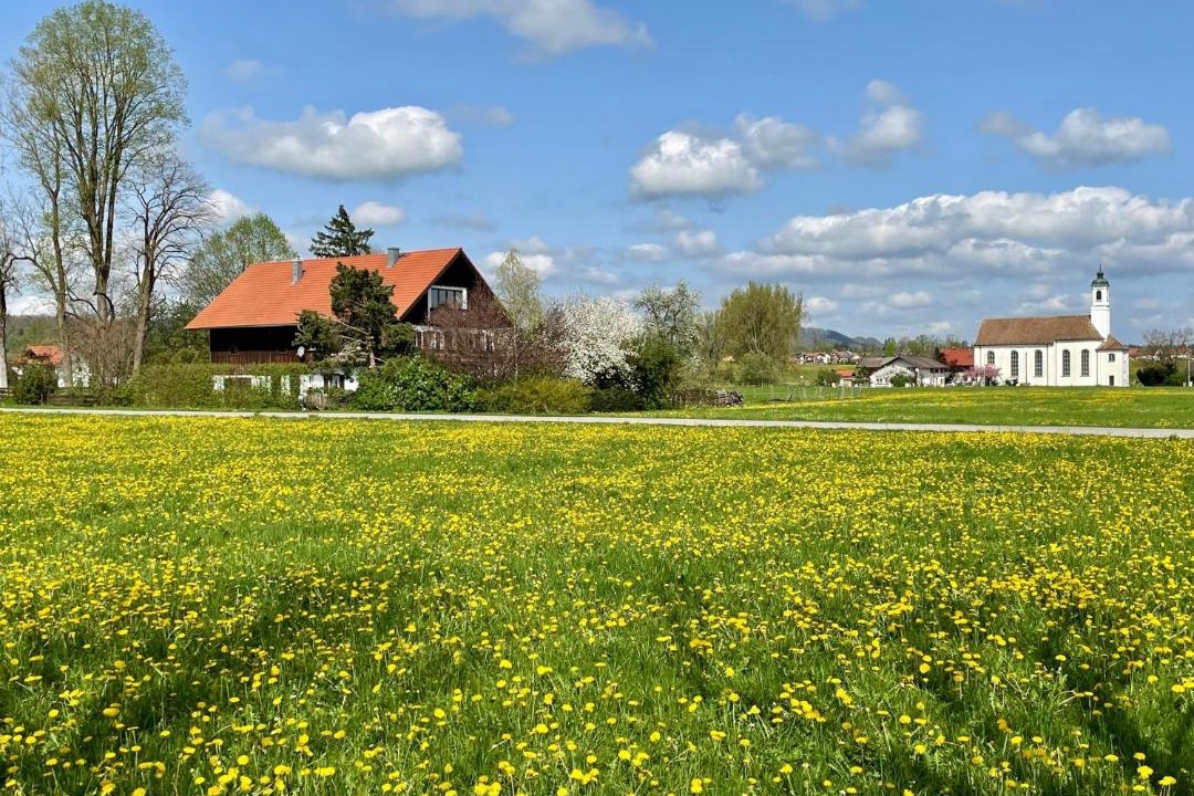 Photo of Others in Peissenberg