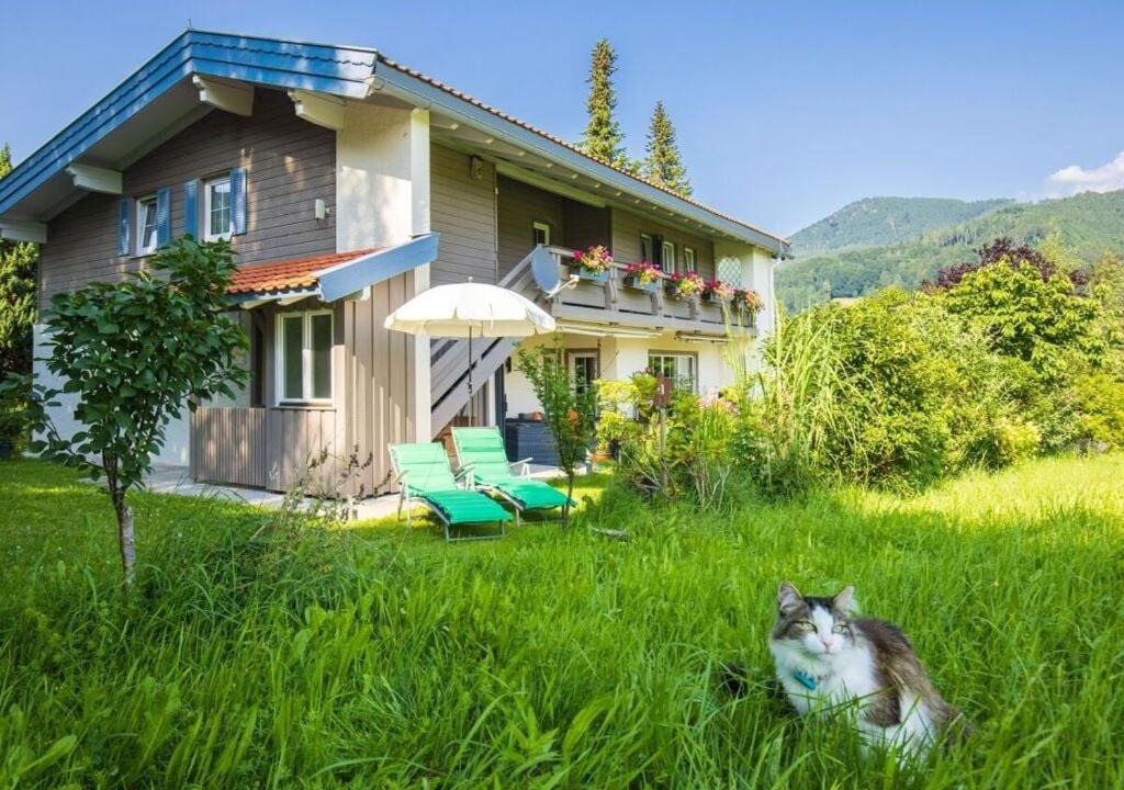 Photo of Buildings in Bibelod