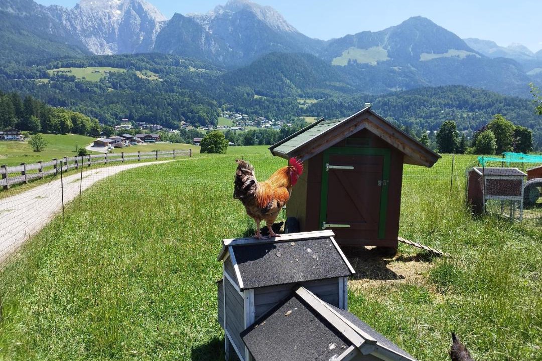 Photo of Others in Oberschonau