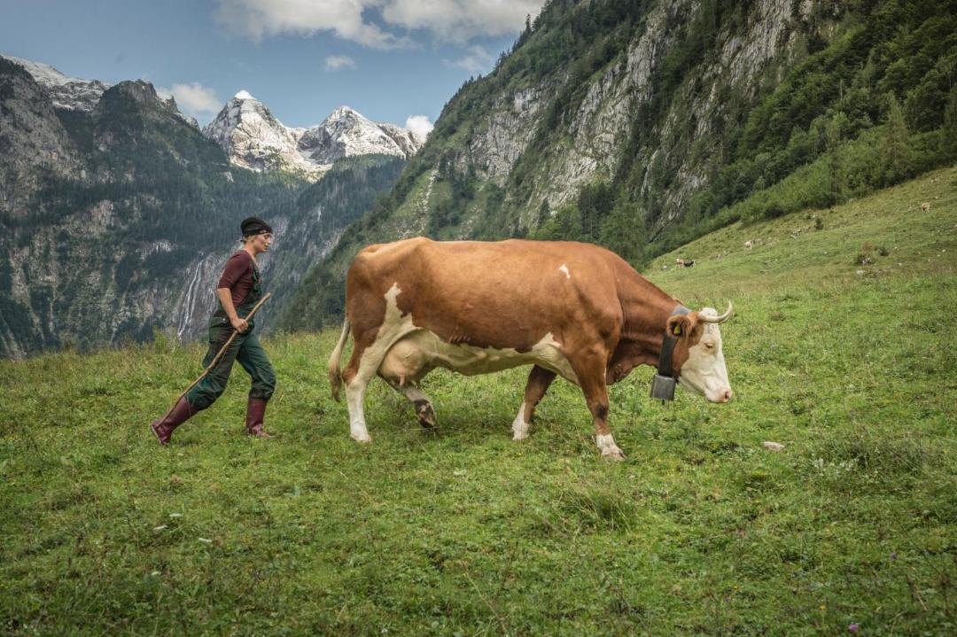 Photo of Human In Picture in Oberschonau