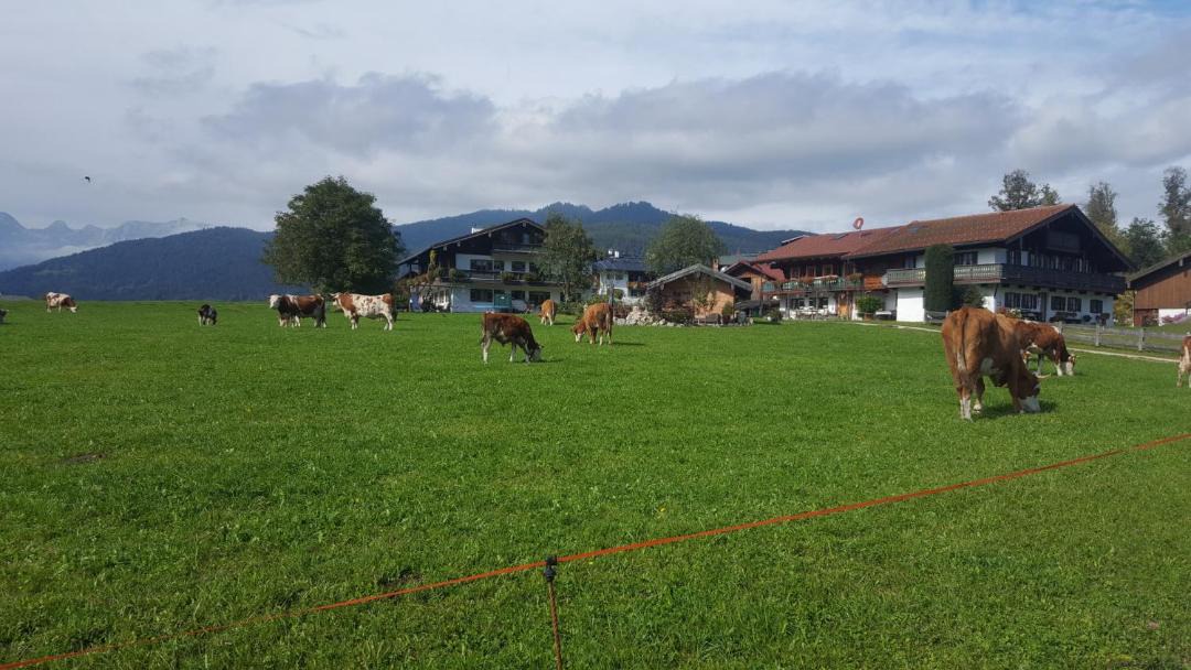 Photo of Others in Oberschonau