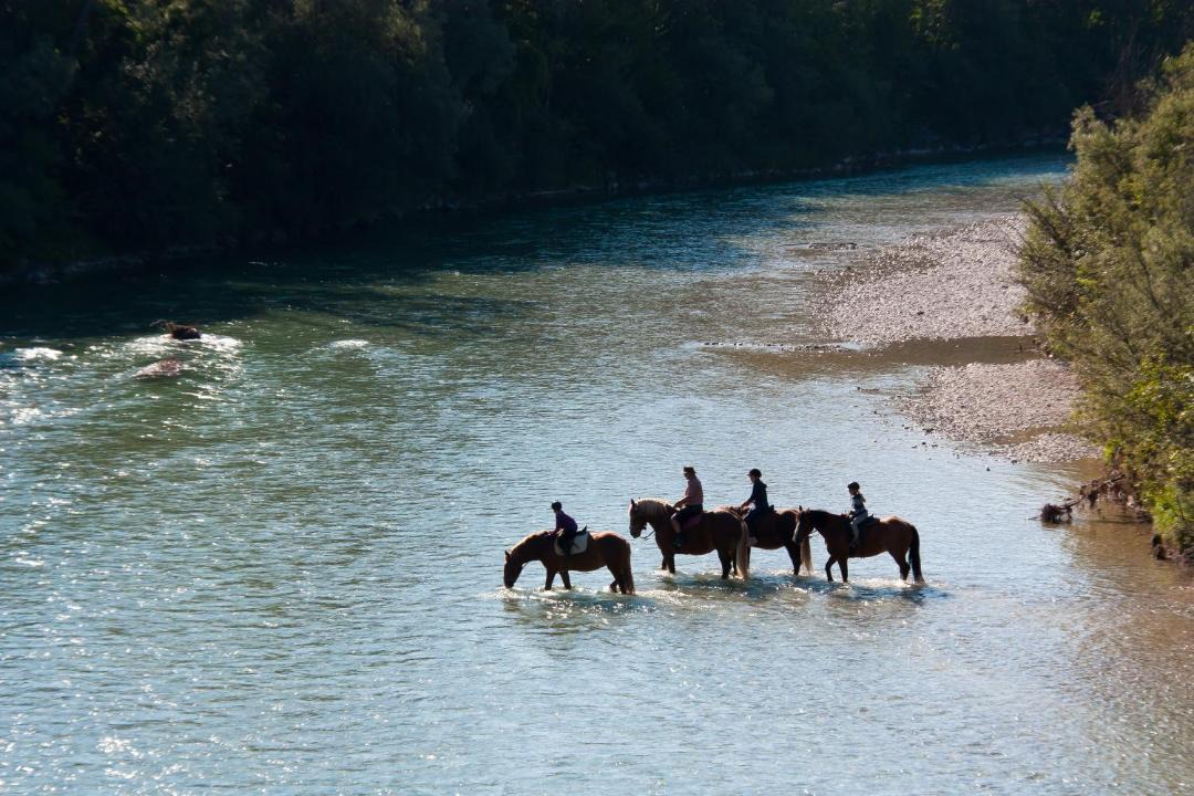 Photo of Others in Wegscheid