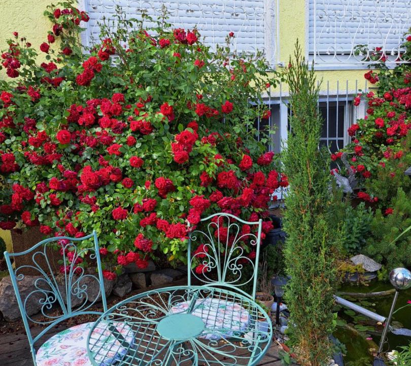 Photo of Patio Balcony in Ehekirchen