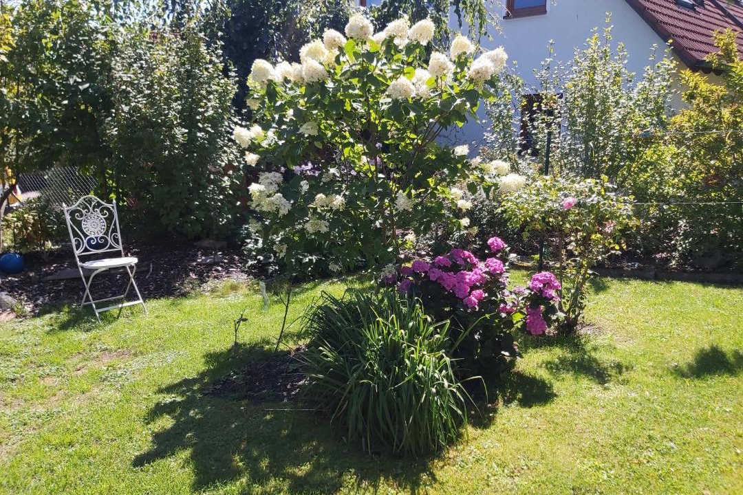 Photo of Others in Treuchtlingen