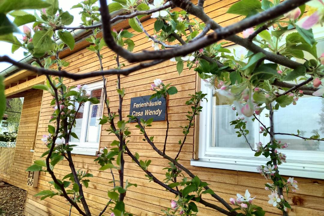 Photo of Others in Lossburg