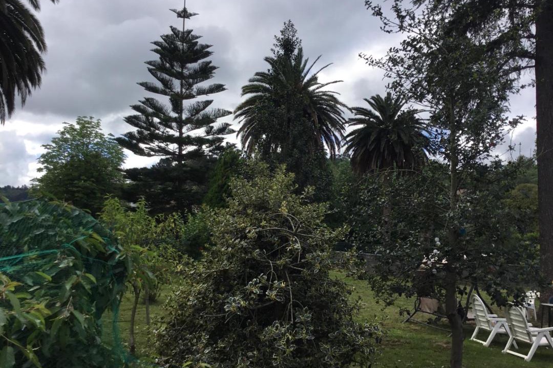 Photo of Others in Galdakao