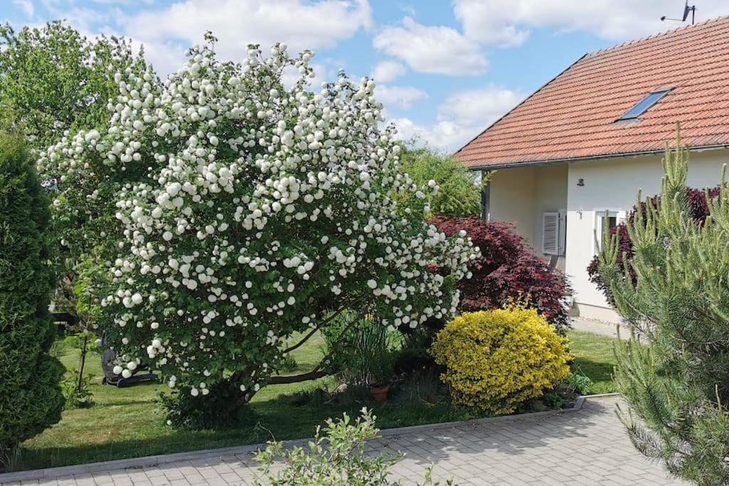 Photo of Buildings in Traitsching