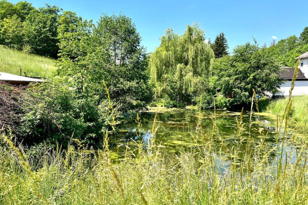 Photo of Outdoor in Grafengehaig