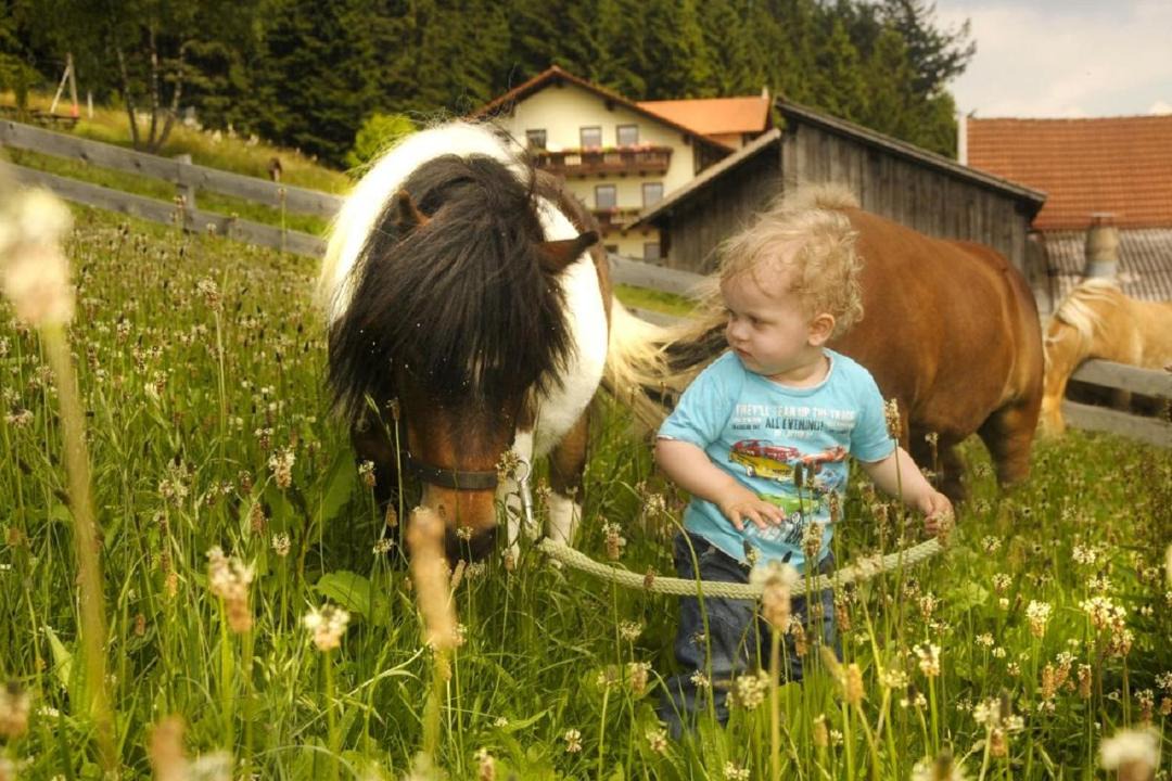 Photo of Others in Maibrunn