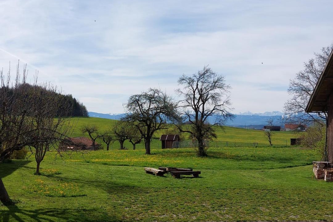 Photo of Others in Dietmannsried