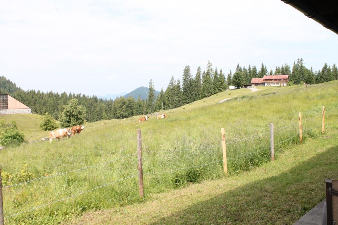 Photo of Others in Reit im Winkl