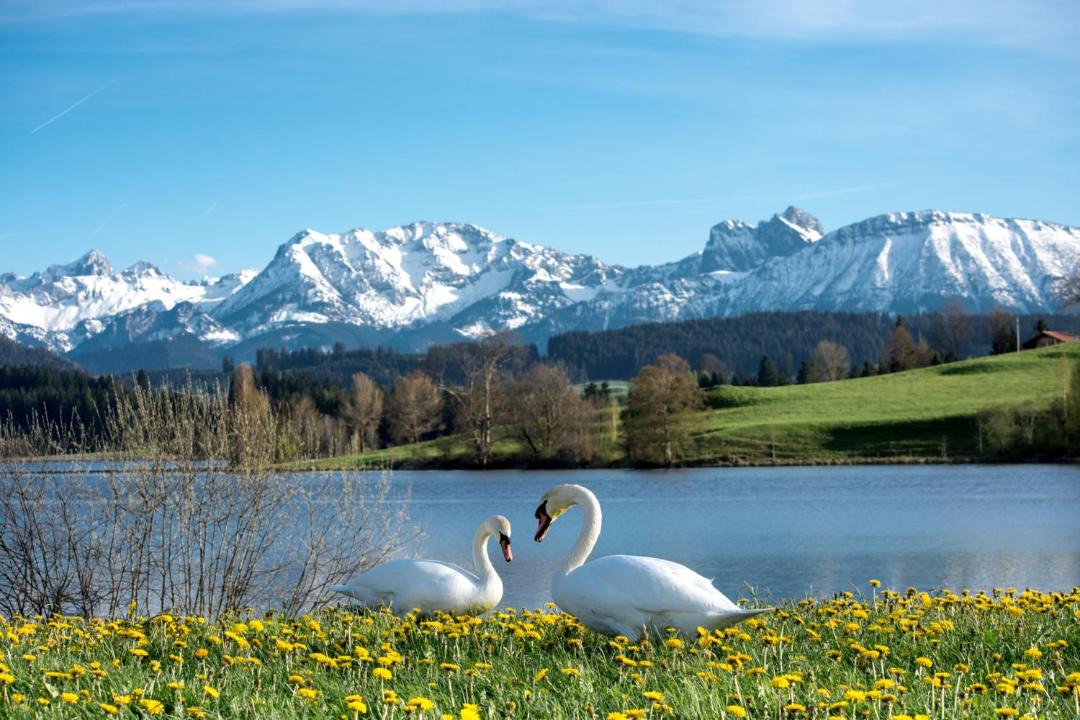 Photo of Outdoor in Seeg