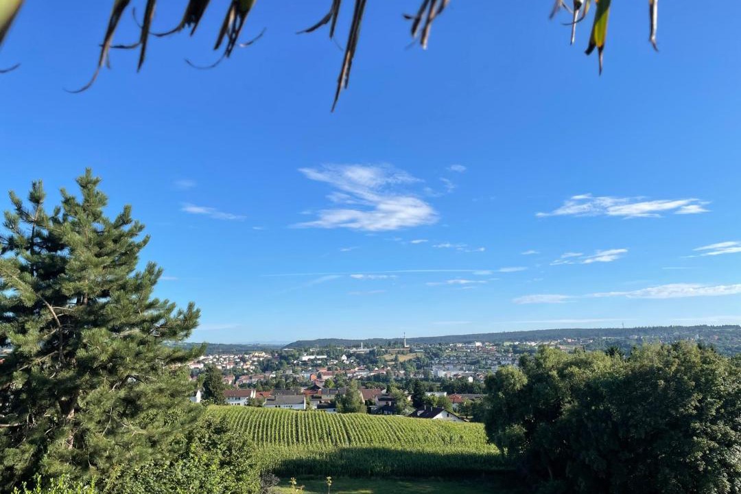 Photo of Others in Passau
