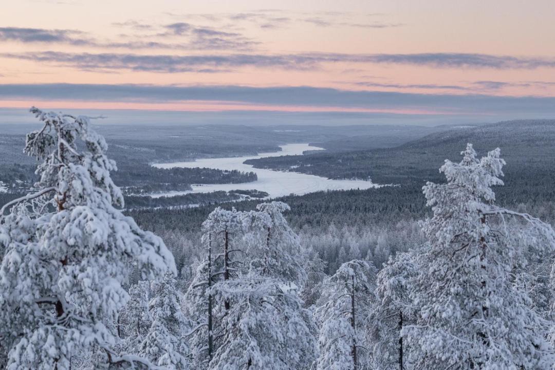 Photo of Others in Rovaniemi